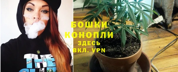 ECSTASY Дмитриев