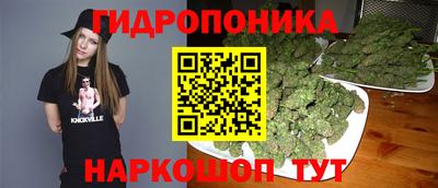 гашик Ипатово