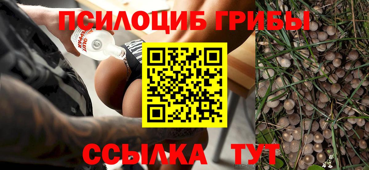 Псилоцибиновые грибы GOLDEN TEACHER Ишимбай
