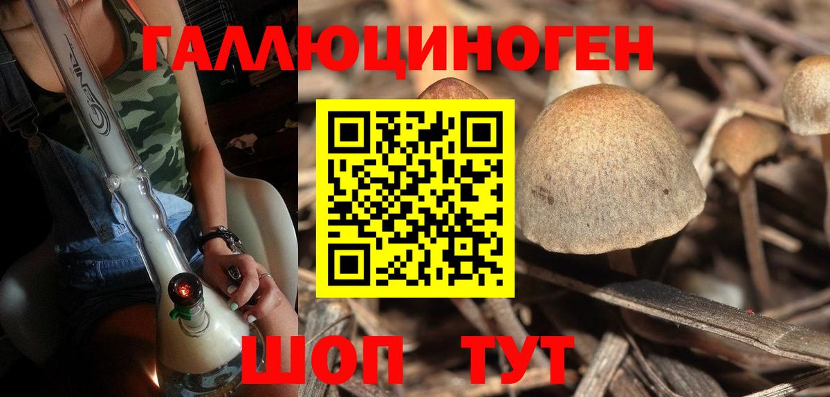 Псилоцибиновые грибы мицелий  дарнет шоп  Ишимбай  Вход с VPN 